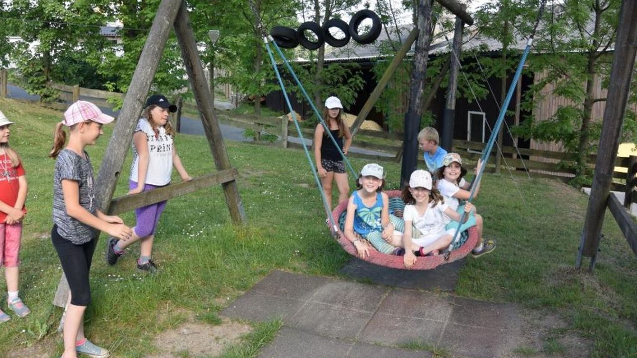 Nestschaukel Nestschaukel